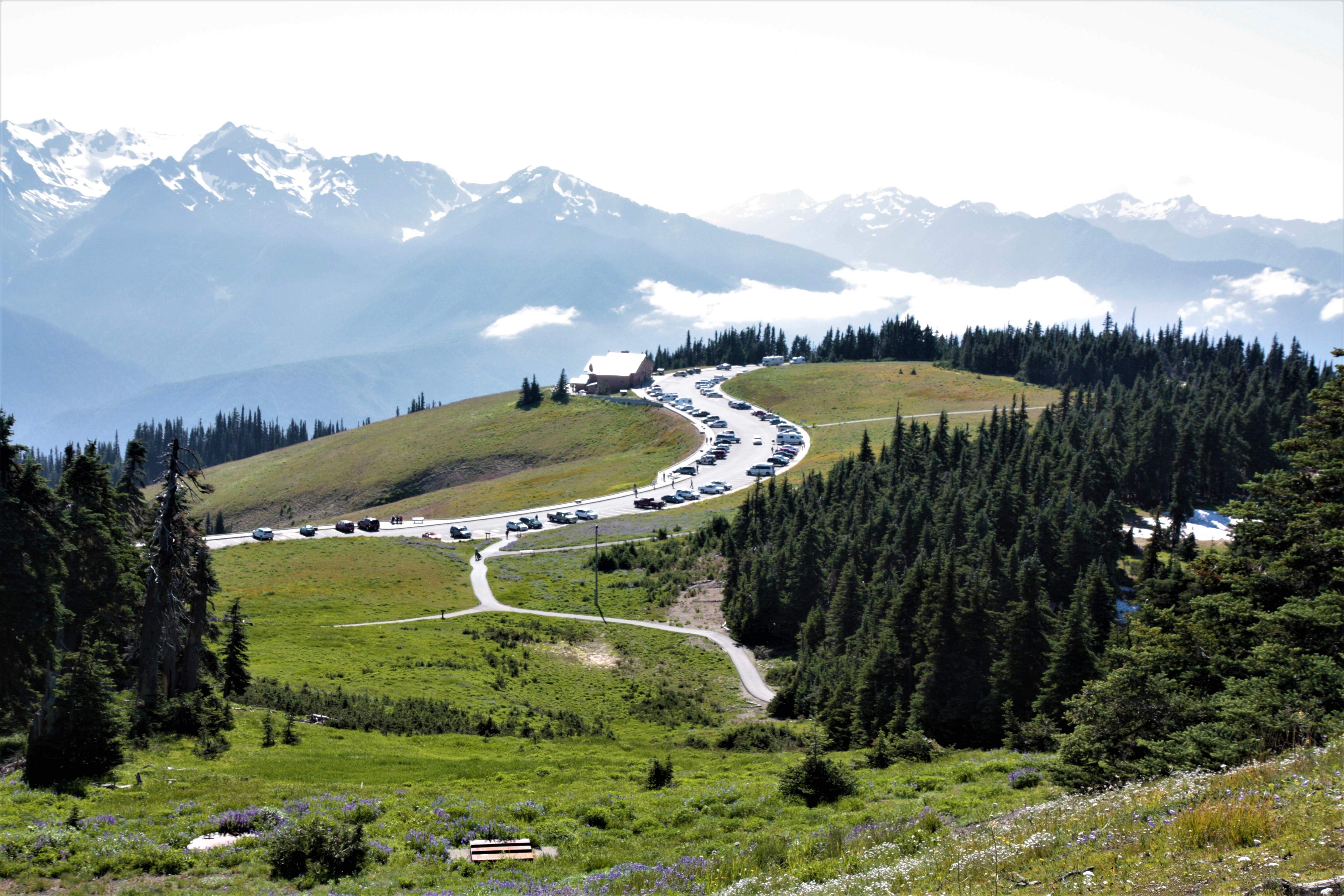 Olympic NP